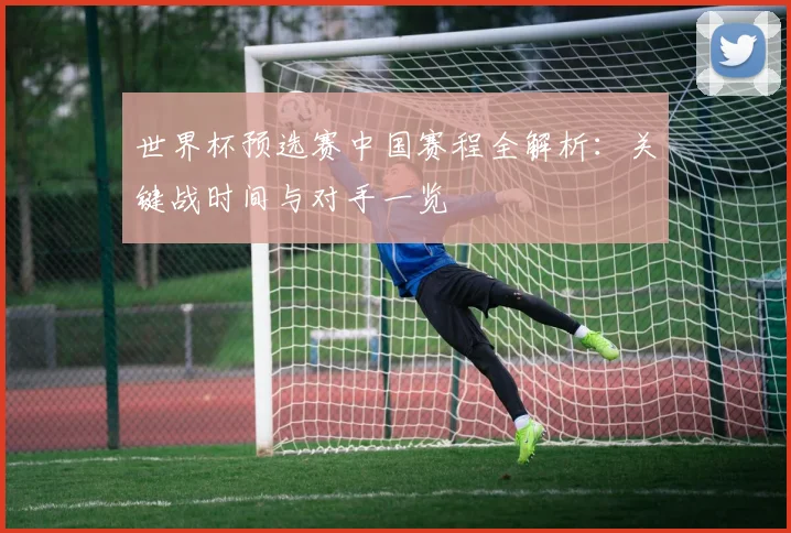 世界杯预选赛中国赛程全解析：关键战时间与对手一览