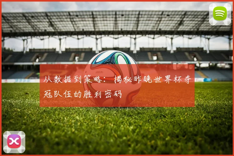 从数据到策略：揭秘昨晚世界杯夺冠队伍的胜利密码